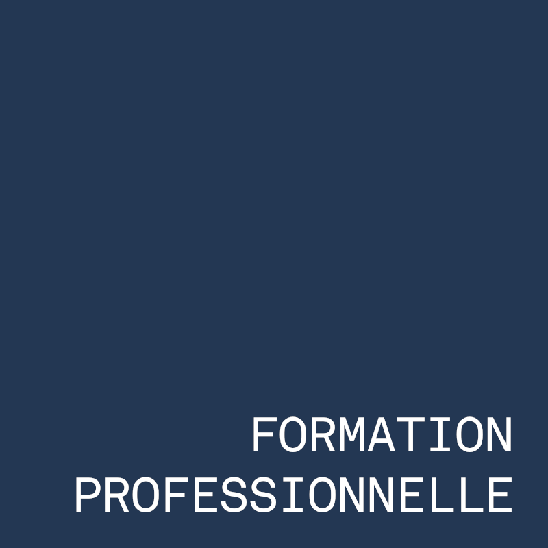 Formation professionnelle