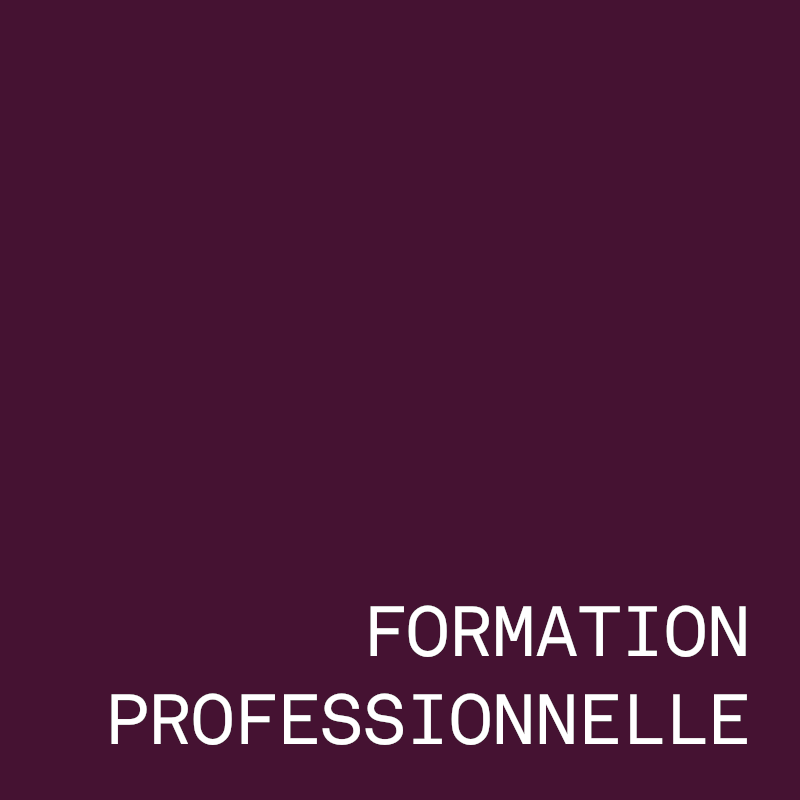 Formation professionnelle